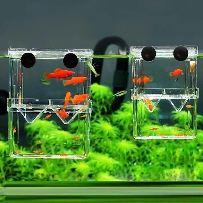 Aquário de peixes transparente - Lab Incubator avaliação e preço