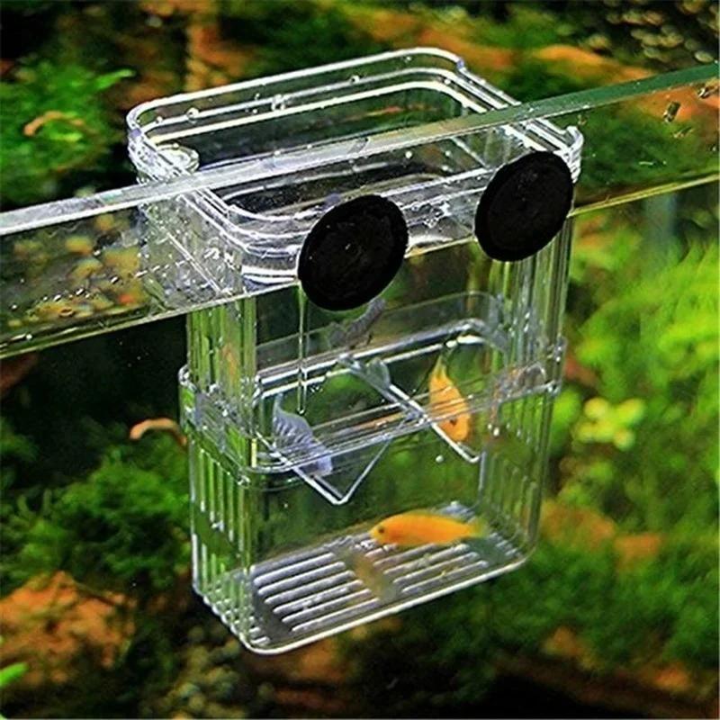 Aquário de peixes transparente - Lab Incubator avaliação e preço