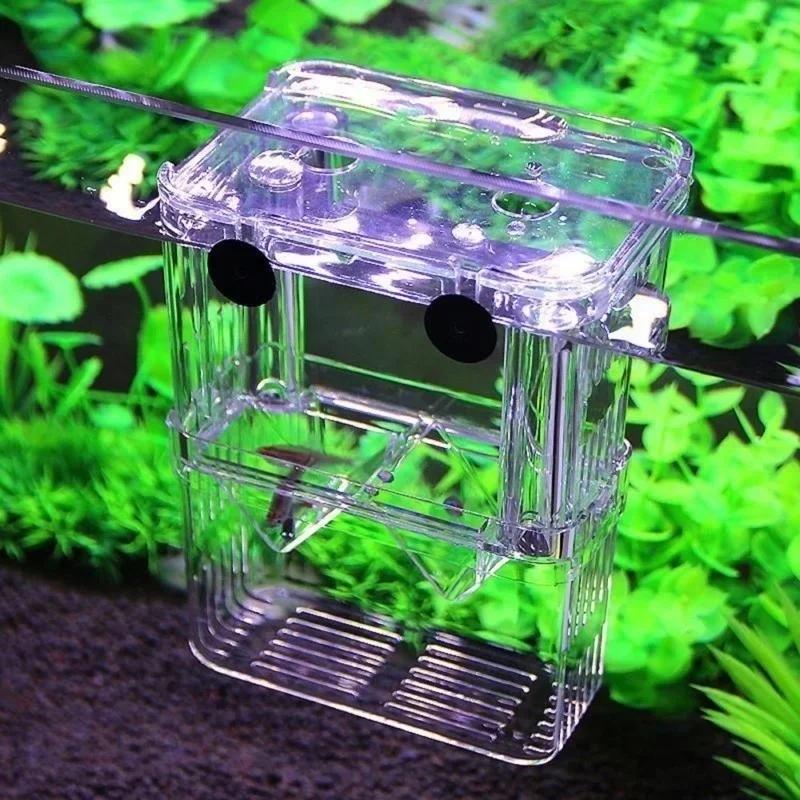 Aquário de peixes transparente - Lab Incubator avaliação e preço